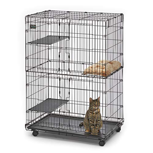 MidWest Homes for Pets Modell 130 Katzen-Spielkäfig, 3 verstellbare Ruheplattformen, entfernbare, auslaufsichere Bodenwanne, einfacher Zugang mit 2 Türen oben/unten, 4 arretierbare Rollen, schwarz MidWest Homes for Pets Modell 130 Katzen-Spielkäfig, 3 verstellbare Ruheplattformen, entfernbare, auslaufsichere Bodenwanne, einfacher Zugang mit 2 Türen oben/unten, 4 arretierbare Rollen, schwarz von MidWest Homes for Pets