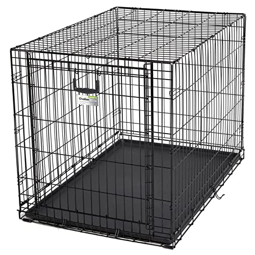 MidWest Homes for Pets Ovation Modell 1942 Hundebox, mittelgroß, Einzeltür, faltbar, Metall, 107 cm lang, mit Trenneinsatz, Bodenschutz, auslaufsicherer Wanne, für große Hunderassen, schwarz von MidWest Homes for Pets