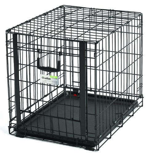 MidWest Homes for Pets Ovation Modell 1924 Hundebox, klein, Einzeltür, faltbar, Metall, 61 cm lang, mit Trenneinsatz, Bodenschutz, auslaufsicherer Wanne, für kleine Hunderassen, schwarz von MidWest Homes for Pets