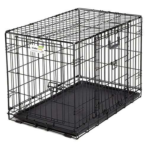 MidWest Homes for Pets Ovation Modell 1948DD Hundebox, sehr große Größe, Einzeltür, faltbar, Metall, 122 cm lang, mit Trenneinsatz, Bodenschutz, auslaufsicherer Wanne, für sehr große Hunde, schwarz MidWest Homes for Pets Ovation Modell 1948DD Hundebox, sehr große Größe, Einzeltür, faltbar, Metall, 122 cm lang, mit Trenneinsatz, Bodenschutz, auslaufsicherer Wanne, für sehr große Hunde, schwarz von MidWest Homes for Pets