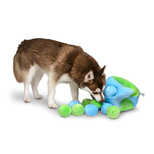 Hundespielzeug "Hide a Ball", groß, Blau / Grün von Midlee