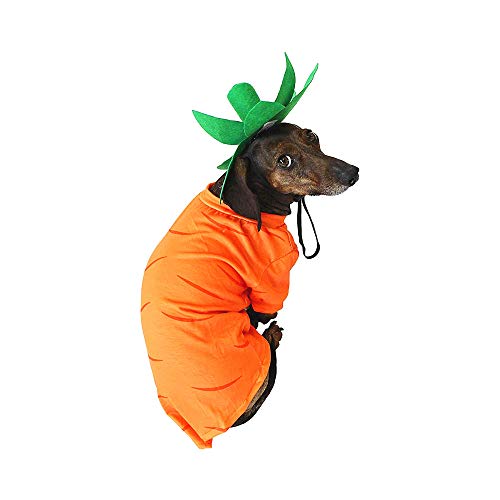 Midlee Hundekostüm für Ostern, Halloween, Medium von Midlee