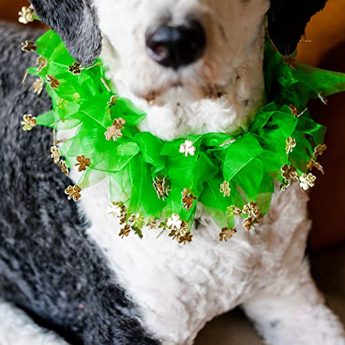 St. Patrick's Day Hundehalsband, Kleeblatt, Größe XL von Midlee