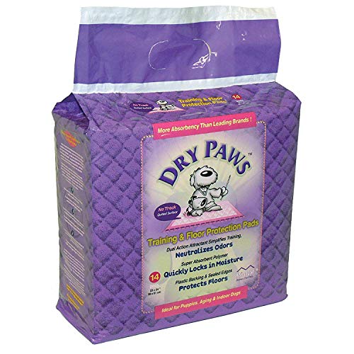 MidWest Homes Dry Paws Trainings- und Bodenschutzpads, 23 5/8' x 17 3/4', Rose von MidWest Homes for Pets