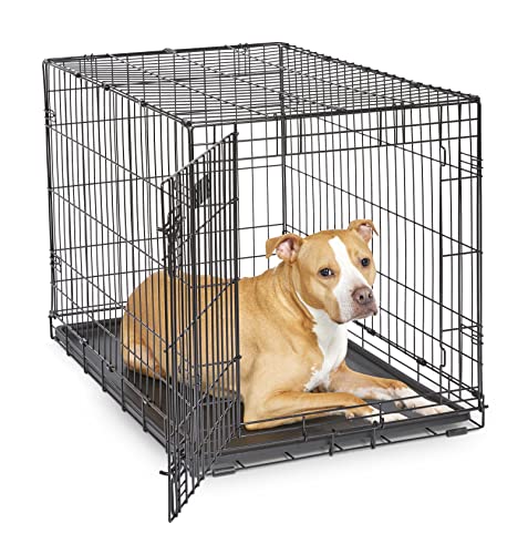 MidWest Homes for Pets iCrate Modell 1536DDU Hundebox, ca. 90 cm lang, mit Einzeltür, auslaufsicherer Bodenwanne, Bodenschutzfüßen, Trenneinsatz und patentierten Funktionen, schwarz von MidWest Homes for Pets