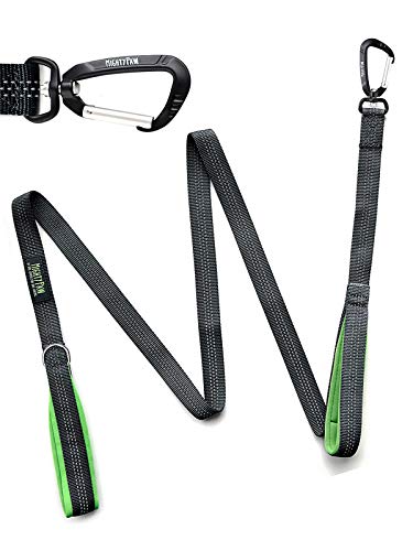 Mighty Paw Hundeleine mit Zwei Griffen, Pfotenleine mit integrierter Verkehrsschlaufe, Karabiner-Clip, doppelt gepolsterte Griffe, geeignet für kleine bis große Haustiere, 1,8 m, Grau Mighty Paw Hundeleine mit Zwei Griffen, Pfotenleine mit integrierter Verkehrsschlaufe, Karabiner-Clip, doppelt gepolsterte Griffe, geeignet für kleine bis große Haustiere, 1,8 m, Grau von Mighty Paw
