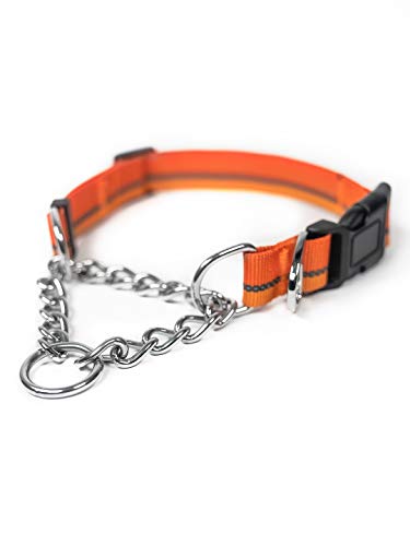 Mighty Paw Martingale Hundehalsband 2.0 | Trainer Approved Limited Slip Collar with Stainless Steel Chain & Heavy Duty Buckle - Modified Cinch Collar for Gentle & Effective Pet Training - Medium, von Mighty Paw