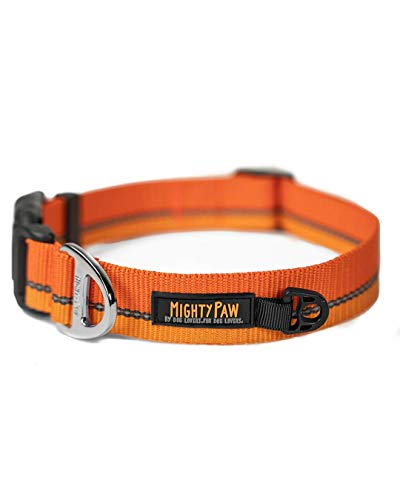 Mighty Paw Reflektierendes Hundehalsband, hochwertiges Halsband mit reflektierenden Nähten, wetterfest, robuste Hardware, stilvolle Farben und Design, perfekt für kleine und große Haustiere (orange) von Mighty Paw
