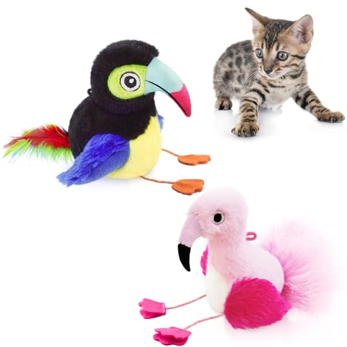 Migipaws 2 Pack Zwitschernder Vogel Katzenspielzeug, Interaktives Katzenspielzeug Set mit Flamingo & Tukan, Plüsch & Katzenminze Kätzchen Kicker Spielzeug für Jagd Spaß Migipaws 2 Pack Zwitschernder Vogel Katzenspielzeug, Interaktives Katzenspielzeug Set mit Flamingo & Tukan, Plüsch & Katzenminze Kätzchen Kicker Spielzeug für Jagd Spaß von Migipaws