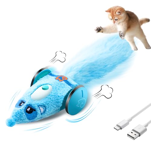 Migipaws Automatisches Katzenspielzeug, Plüsch-Katzen-Maus-Spielzeug, interaktives Spielzeug für Indoor-Katzen, intelligentes bewegliches Kätzchenspielzeug, wiederaufladbar (Blau) von Migipaws