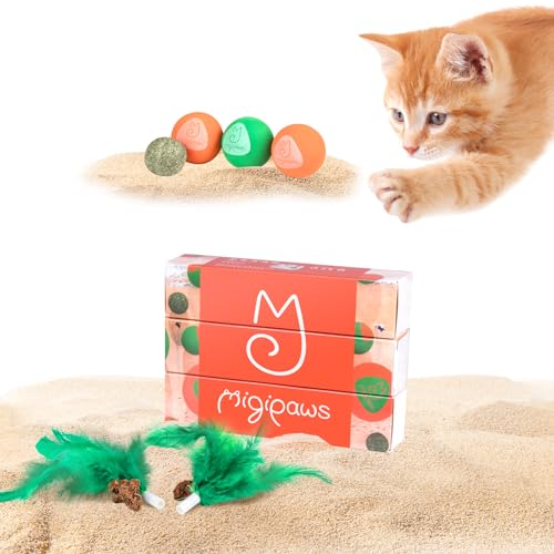 Migipaws Pfoten-Palast-Ersatz, 3 Eva-Bälle, 1 Katzenminze-Ball, 2 Kokosnuss Baum - Federstab Zubehör… Migipaws Pfoten-Palast-Ersatz, 3 Eva-Bälle, 1 Katzenminze-Ball, 2 Kokosnuss Baum - Federstab Zubehör… von Migipaws