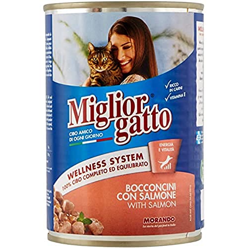 Migliorgatto - Leckerbissen mit Lachs, mit Vitaminen und Mineralstoffen - 24 Stück à 405 g [9720 g] von Miglior Gatto