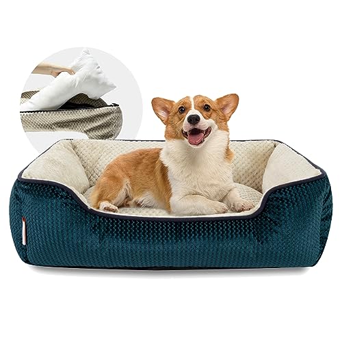 Miguel Abnehmbares Waschbares Hundebett für mittelgroße Hunde - Rechteckiges Haustierbett für große Katzen mit Reißverschlussbezug, Welpenbett mit Seitenwand und rutschfestem Boden, Blau 76 cm Miguel Abnehmbares Waschbares Hundebett für mittelgroße Hunde - Rechteckiges Haustierbett für große Katzen mit Reißverschlussbezug, Welpenbett mit Seitenwand und rutschfestem Boden, Blau 76 cm von Miguel