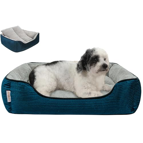 Miguel Hundebett mit abnehmbarem Kissen für mittelgroße und kleine Hunde, waschbares Haustierbett mit seitlich, großes rechteckiges Katzenbett mit Rutschfester Unterseite, Blau 64 cm von Miguel