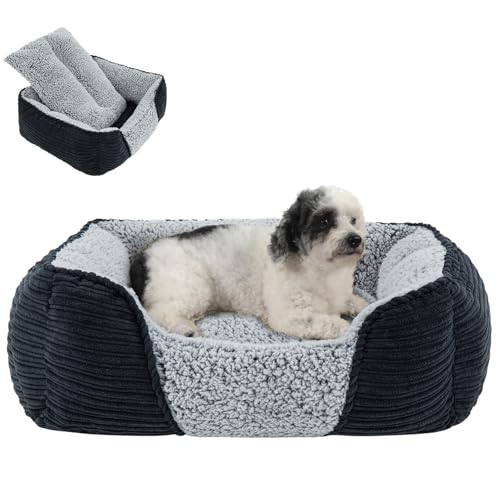 Miguel Hundebett mit abnehmbarem Kissen für mittelgroße und kleine Hunde, waschbares Haustierbett mit seitlich, großes rechteckiges Katzenbett mit Rutschfester Unterseite Miguel Hundebett mit abnehmbarem Kissen für mittelgroße und kleine Hunde, waschbares Haustierbett mit seitlich, großes rechteckiges Katzenbett mit Rutschfester Unterseite von Miguel