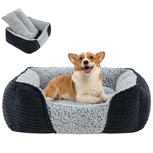 Miguel Hundebett mit abnehmbarem Kissen für mittelgroße und kleine Hunde, waschbares Haustierbett mit seitlich, großes rechteckiges Katzenbett mit Rutschfester Unterseite Miguel Hundebett mit abnehmbarem Kissen für mittelgroße und kleine Hunde, waschbares Haustierbett mit seitlich, großes rechteckiges Katzenbett mit Rutschfester Unterseite von Miguel