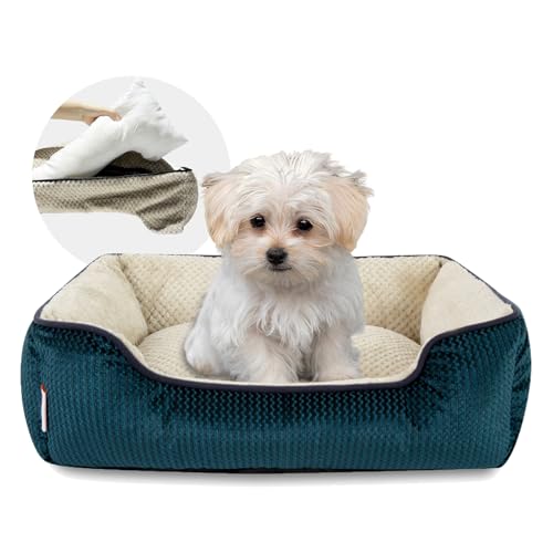 Miguel Kleines Hundebett mit waschbarem abnehmbarem Bezug, Katzenbett für Hauskatzen, Quadratisches Kuschel-Rechteck-Haustierbett mit weicher Seitenrolle, mit rutschfestem Boden, Blau 51 cm Miguel Kleines Hundebett mit waschbarem abnehmbarem Bezug, Katzenbett für Hauskatzen, Quadratisches Kuschel-Rechteck-Haustierbett mit weicher Seitenrolle, mit rutschfestem Boden, Blau 51 cm von Miguel
