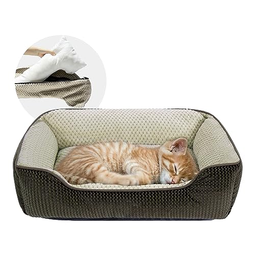 Miguel Kleines Hundebett mit waschbarem abnehmbarem Bezug, Katzenbett für Hauskatzen, Quadratisches Kuschel-Rechteck-Haustierbett mit weicher Seitenrolle, mit rutschfestem Boden, Braun 51 cm Miguel Kleines Hundebett mit waschbarem abnehmbarem Bezug, Katzenbett für Hauskatzen, Quadratisches Kuschel-Rechteck-Haustierbett mit weicher Seitenrolle, mit rutschfestem Boden, Braun 51 cm von Miguel