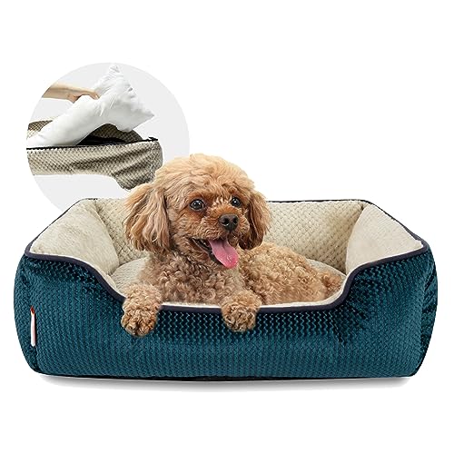 Miguel Mittelkleines Hundebett mit waschbarem abnehmbarem Bezug - Rechteckiges Haustierbett für Katzen in Innenräumen mit unterstützender Seitenwand und rutschfestem Boden, Blau 64 cm von Miguel