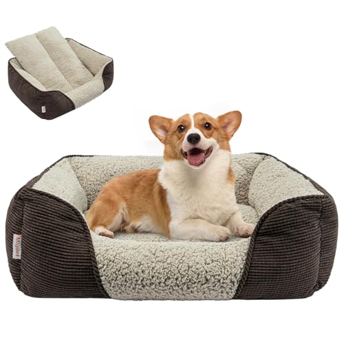 Miguel Rectangle Cuddle Pet Bed D20240124 von Miguel