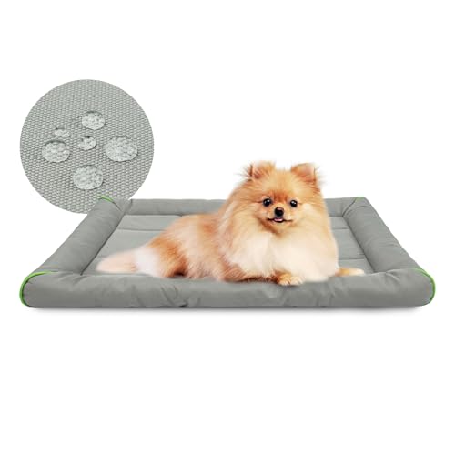 Miguel Sponge Waterproof Pet Mat OCM20210118 von Miguel