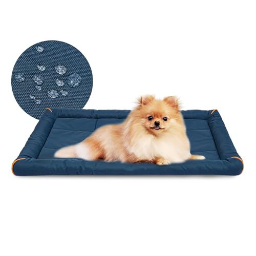 Miguel Sponge Waterproof Pet Mat OCM20210123 Miguel Sponge Waterproof Pet Mat OCM20210123 von Miguel