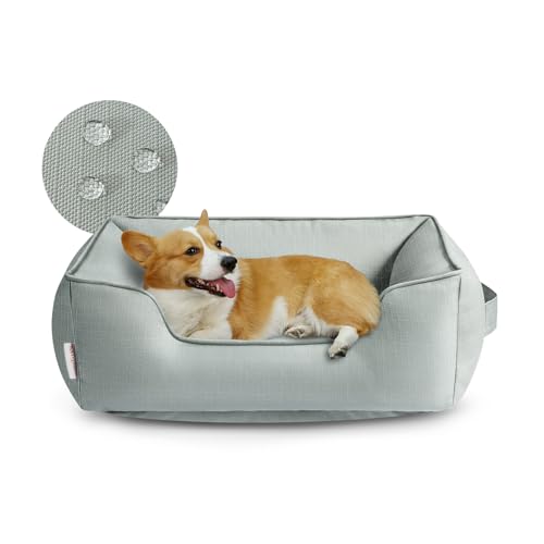 Miguel Wasserdichtes Outdoor-Hundebett für kleine bis mittelgroße Hunde, Oxford Haustierbett robust mit Seiten, leicht zu reinigen, rechteckiges Welpenbett für alle Wetterbedingungen Miguel Wasserdichtes Outdoor-Hundebett für kleine bis mittelgroße Hunde, Oxford Haustierbett robust mit Seiten, leicht zu reinigen, rechteckiges Welpenbett für alle Wetterbedingungen von Miguel