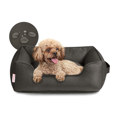Miguel Wasserdichtes Outdoor-Hundebett für kleine bis mittelgroße Hunde, Oxford Haustierbett robust mit Seiten, leicht zu reinigen, rechteckiges Welpenbett für alle Wetterbedingungen Miguel Wasserdichtes Outdoor-Hundebett für kleine bis mittelgroße Hunde, Oxford Haustierbett robust mit Seiten, leicht zu reinigen, rechteckiges Welpenbett für alle Wetterbedingungen von Miguel