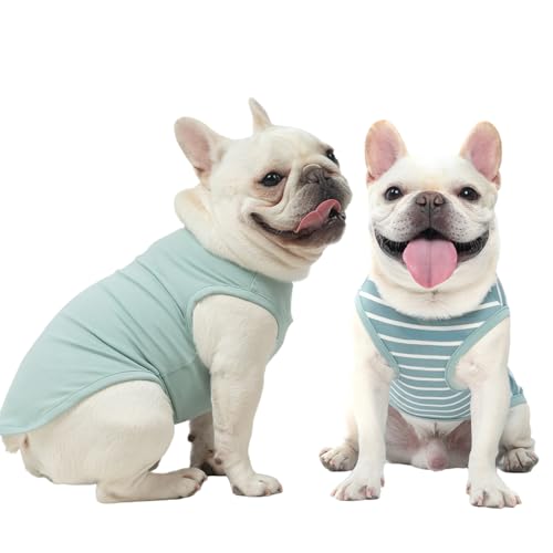 MIHACHI Hunde-Shirts, Hundekleidung, 2er-Pack für kleine und mittelgroße Hunde – atmungsaktiv, leicht, Baumwolle, ärmellose Weste, Tank-Tops für Sommer, Welpen, Katzen, Jungen, Mädchen, Outfit, Grün MIHACHI Hunde-Shirts, Hundekleidung, 2er-Pack für kleine und mittelgroße Hunde – atmungsaktiv, leicht, Baumwolle, ärmellose Weste, Tank-Tops für Sommer, Welpen, Katzen, Jungen, Mädchen, Outfit, Grün von Mihachi