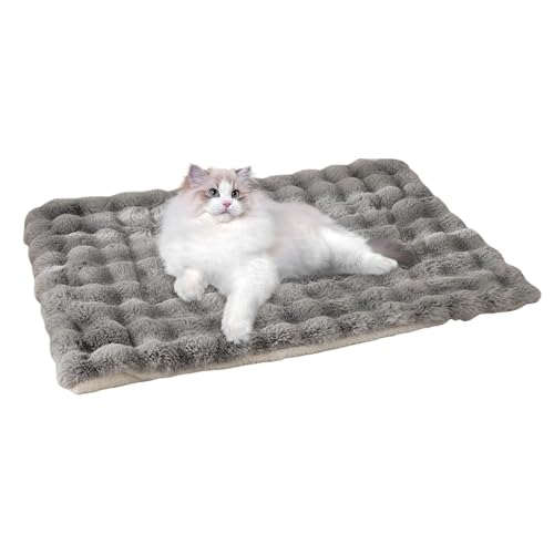 Mihauuke Hundebettmatte, Haustierbettmatte | Weiche Unterlage zum Schlafen von Hunden | Winterbetten Haustier-Katzen-Bodenunterlage, weiche Schlafunterlage für Hundekätzchen, weiche schlafende Mihauuke Hundebettmatte, Haustierbettmatte | Weiche Unterlage zum Schlafen von Hunden | Winterbetten Haustier-Katzen-Bodenunterlage, weiche Schlafunterlage für Hundekätzchen, weiche schlafende von Mihauuke