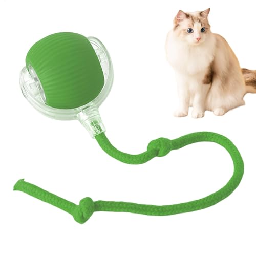 Mihauuke Interaktives Katzenspielzeug,Intelligentes Katzenspielzeug,Automatisches elektrisches Spielzeug für Katzen, Katzenspielzeug mit beweglichem Ball,Rolling Ball Mit USB Aufladbar Mihauuke Interaktives Katzenspielzeug,Intelligentes Katzenspielzeug,Automatisches elektrisches Spielzeug für Katzen, Katzenspielzeug mit beweglichem Ball,Rolling Ball Mit USB Aufladbar von Mihauuke