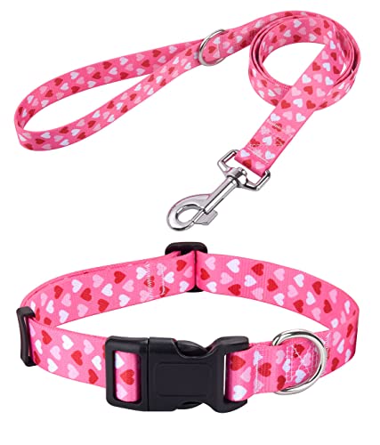 Mihqy Hundehalsband und Leine Set, Verstellbares, Weich & Komfort Nylon Hunde Halsband für Kleine Mittlere Große Hunde Welpen Katzen(Herz Set,XS) von Mihqy