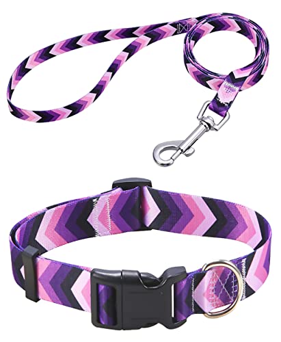 Mihqy Hundehalsband und Leine Set, Verstellbares, Weich & Komfort Nylon Hunde Halsband für Kleine Mittlere Große Hunde Welpen Katzen(Lila Pfeil Set,L) von Mihqy