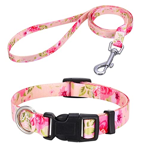 Mihqy Hundehalsband und Leine Set, Verstellbares, Weich & Komfort Nylon Hunde Halsband für Kleine Mittlere Große Hunde Welpen Katzen(Pinke Rose Set,S) von Mihqy