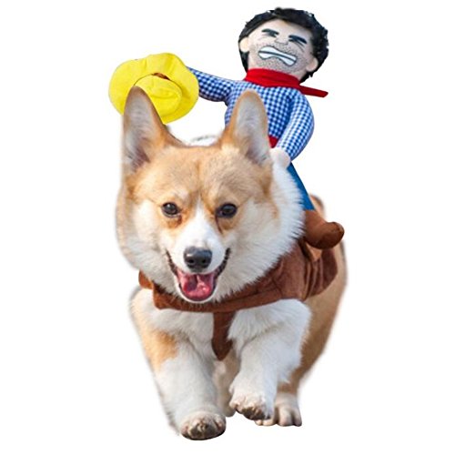 Deluxe Cowboy Rider Haustier Kostüm - Lustiges Hund Halloween Outfit mit Puppe und Hut, verstellbares Ritterkostüm für Labors, Deutscher Schäferhund, Golden Retriever und mehr (XS) von Mikayoo