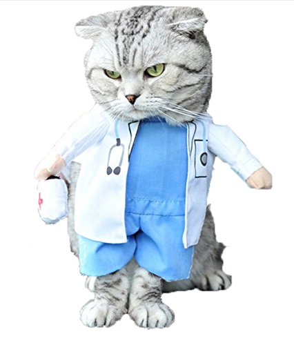 Mikayoo Halloween-Kostüm für Hunde und Katzen, Arzt, Krankenschwester-Kostüm, für Hunde, Jeans, Kleidung, Katze, lustiges Outfit (Arzt, S) von Mikayoo