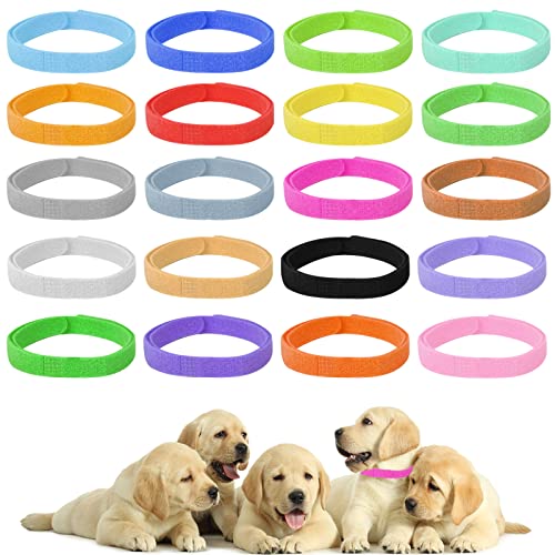 Welpen ID Halsbänder Einstellbar Weiche Halsbänder für Neugeborene Katze Hunde Welpen Kätzchen 20 Farben Kitten Identifikationshalsbänder Nylon 1 x 30 cm 20 Stücke Neugeborene Haustierhalsbänder Welpen ID Halsbänder Einstellbar Weiche Halsbänder für Neugeborene Katze Hunde Welpen Kätzchen 20 Farben Kitten Identifikationshalsbänder Nylon 1 x 30 cm 20 Stücke Neugeborene Haustierhalsbänder von Mikihat