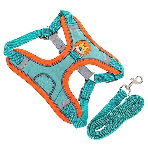 Mikikit 1 Satz Kleiner Hundegurt Groß Für Zurück Haustier Gurte Gepolstert Geschirr Einstellbar Hunde -wanderzubehör Welpe Atmungsaktiv Kleine Hundeleine Tuch Blue Mikikit 1 Satz Kleiner Hundegurt Groß Für Zurück Haustier Gurte Gepolstert Geschirr Einstellbar Hunde -wanderzubehör Welpe Atmungsaktiv Kleine Hundeleine Tuch Blue von Mikikit