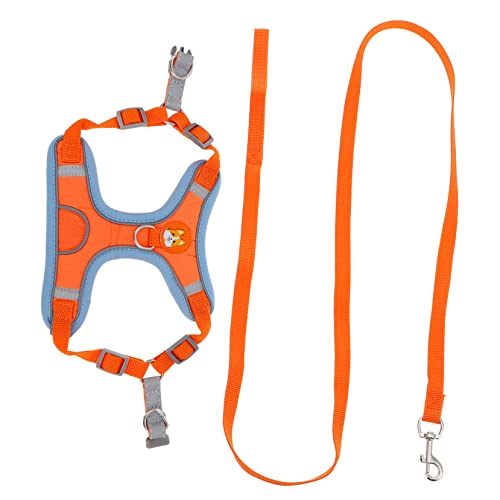 Mikikit 1 Satz Kleiner Hundegurt Gurt für kleine Hunde Geschirr und Leine für Hunde XXX Körperpflege Form Weste führen gehen züchten Leinen Welpe Hundekabelbaum Tuch Orange Mikikit 1 Satz Kleiner Hundegurt Gurt für kleine Hunde Geschirr und Leine für Hunde XXX Körperpflege Form Weste führen gehen züchten Leinen Welpe Hundekabelbaum Tuch Orange von Mikikit