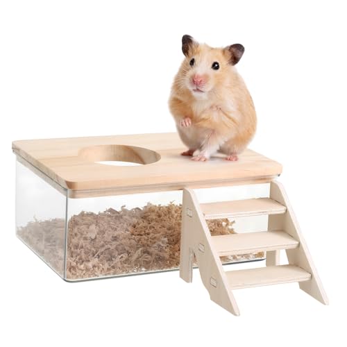 Mikikit 1 Set Hamsterbadezimmer Hamstersubstratbehälter Buddelsandbehälter Hamstersandbad Mit Leiter Sandbadbehälter Mit Leiter Hamsterbadewanne Hamsterhütte Holz Transparent Mikikit 1 Set Hamsterbadezimmer Hamstersubstratbehälter Buddelsandbehälter Hamstersandbad Mit Leiter Sandbadbehälter Mit Leiter Hamsterbadewanne Hamsterhütte Holz Transparent von Mikikit