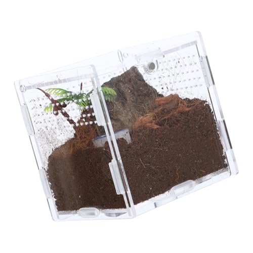 Mikikit 1 Set Springspinnen Zuchtbox Insektenhabitatkäfig Spinnen Terrarium Zuchtbehälter Transparenter Springspinnenkäfig Fütterungsbehälter Insektenhabitatbehälter von Mikikit