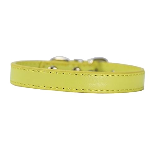 Mikikit 12 Stück Haustier Hundehalsband Schnalle Geschirr Bands Basic Welpen-Kit verscho pet Supplies katzenhalsband Dog Collars katzenhalsbänder Haustierbedarf Outdoor-Halsband für Hunde Mikikit 12 Stück Haustier Hundehalsband Schnalle Geschirr Bands Basic Welpen-Kit verscho pet Supplies katzenhalsband Dog Collars katzenhalsbänder Haustierbedarf Outdoor-Halsband für Hunde von Mikikit