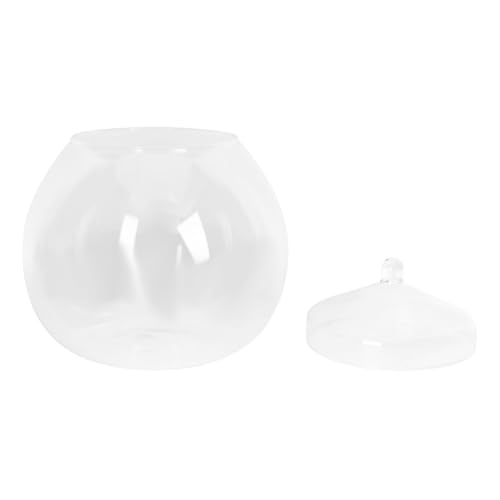 Mikikit 1Satz Ökologische Glaskanister Mit Mikrolandschaftsflasche Für DIY Pflanzenarrangements Für Tischdeko Und Pflanzenliebhaber Zufälliger Deckelstil von Mikikit
