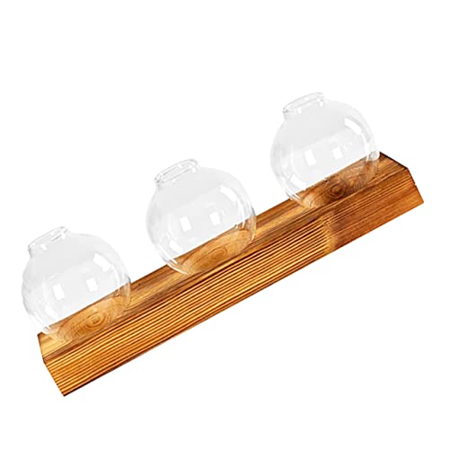 Mikikit 1Satz Pflanzenterrarium Mit Holzsockel Hydrokulturpflanzgefäß Für Stilvolle Tischdeko Und Pflanzenzucht Für Wohnzimmer Schlafzimmer von Mikikit