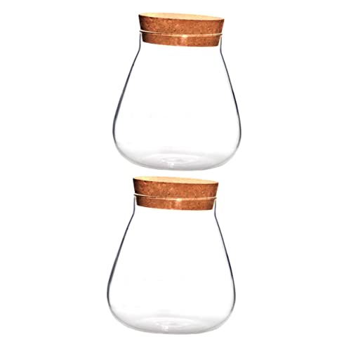 Mikikit 2 Stück Flasche aus Korkglas aufbewahrungs gläser kaminregal Terrarium für Sukkulenten Badezimmer-zubehã¶r die bescherung Display-Topf klares Terrarium Landschaftsglas Holz Brown von Mikikit
