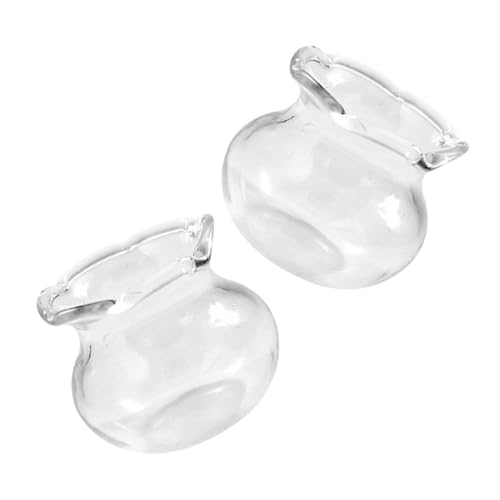 Mikikit 2 Stück Mini-fischschalen Mini Fischglas Miniatur-Aquarium Szenenzubehör Fischglas Klein Betta-fischschale Kleiner Fischtank Fischglas Aus Glas Kleines Mini-Aquarium von Mikikit