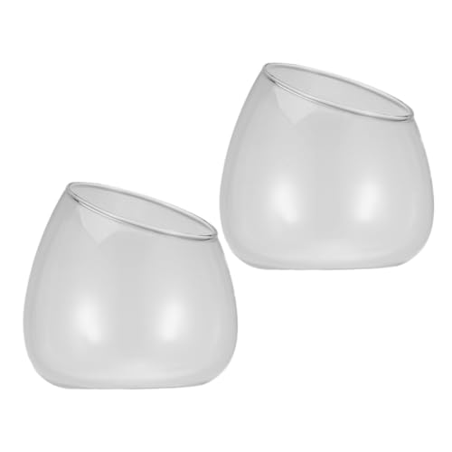 Mikikit 2 Stück Moos Micro Landscape Flasche Glasschalen dekorativ Terrarienschalen kleine Terrarienschale Glasschale für Pflanzen Outdoor-Terrarium Transparent von Mikikit