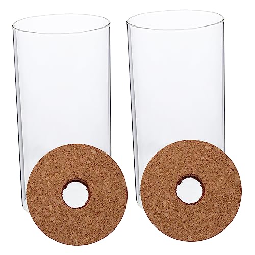 Mikikit 2 Stück Öko-Flasche aus Glas Terrarienglas aus Glas DIY-Mikrolandschaftsflasche Terrarienflasche Gla -Terrarium Glasbehältertöpfe Terrarienglas mit Deckel Pflanzgefäß Transparent Mikikit 2 Stück Öko-Flasche aus Glas Terrarienglas aus Glas DIY-Mikrolandschaftsflasche Terrarienflasche Gla -Terrarium Glasbehältertöpfe Terrarienglas mit Deckel Pflanzgefäß Transparent von Mikikit
