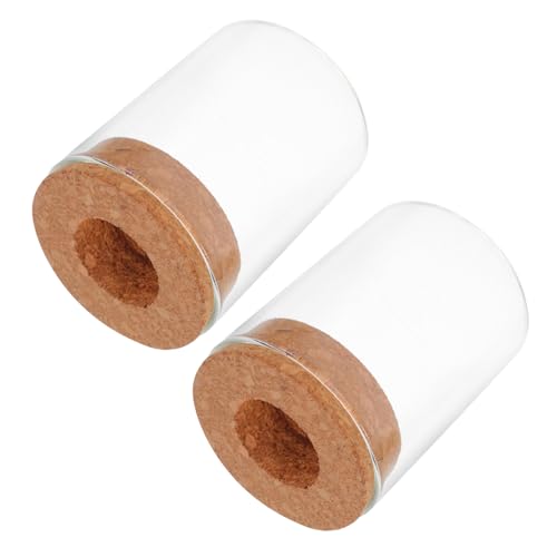 Mikikit 2pcs Pflanzenglas Terrarium Behälter Kleiner Saftiges Terrarium Pflanzgefäß Mit Kork Deckel Tischlandschaftslandschaft Terrarium Für Luftpflanzen Hausdekoration Transparent 250 Ml von Mikikit