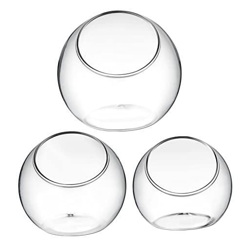 Mikikit 3 Stück Hydroponik bauchig Phiole Sich vermehren Vasen-Terrarium Terrarienset bürodeko büro Dekoration Tischdekoration pflanzplane Decor Vase Pot Terrarienschalen Glas Transparent Mikikit 3 Stück Hydroponik bauchig Phiole Sich vermehren Vasen-Terrarium Terrarienset bürodeko büro Dekoration Tischdekoration pflanzplane Decor Vase Pot Terrarienschalen Glas Transparent von Mikikit